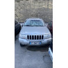 Porte arriere gauche - GRAND CHEROKEE 1 PHASE 2