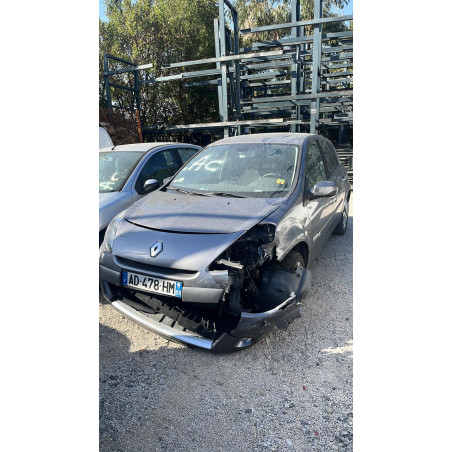 Porte arriere gauche - CLIO 3 PHASE 2